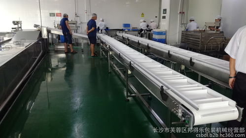 食品行業(yè)專用輸送線定制解決方案 高效、衛(wèi)生、多功能